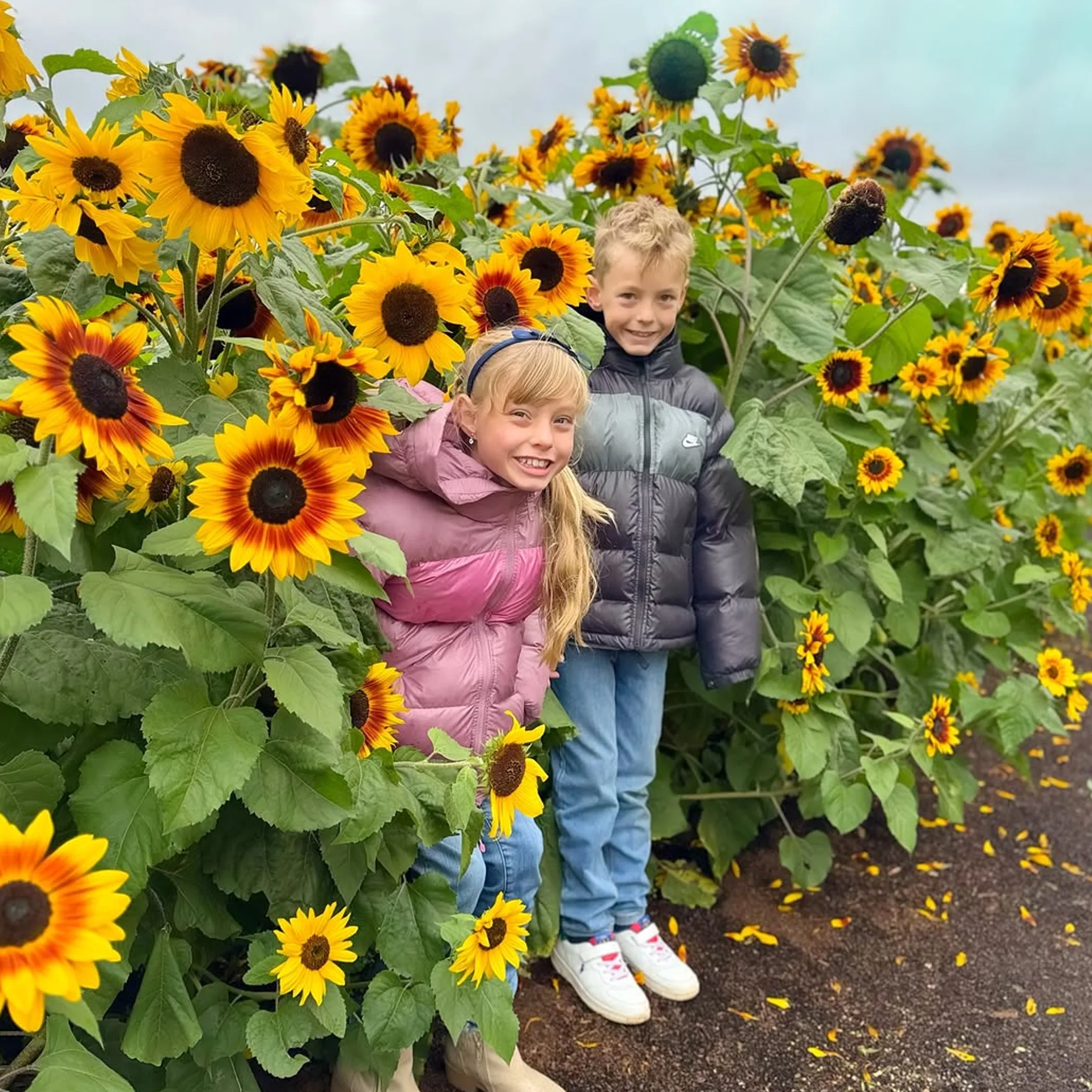 children enjoying australian flower festival