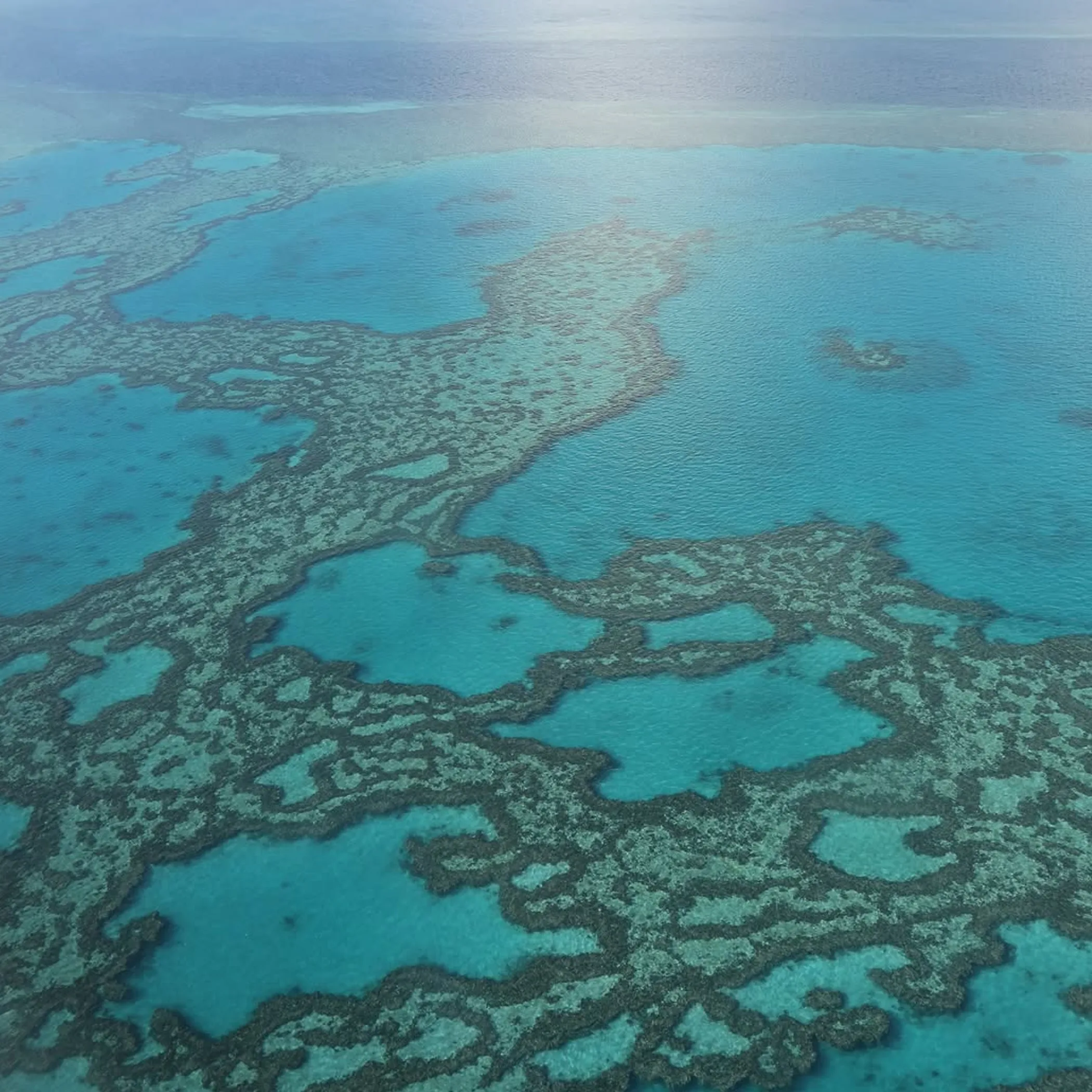 great barrier reef