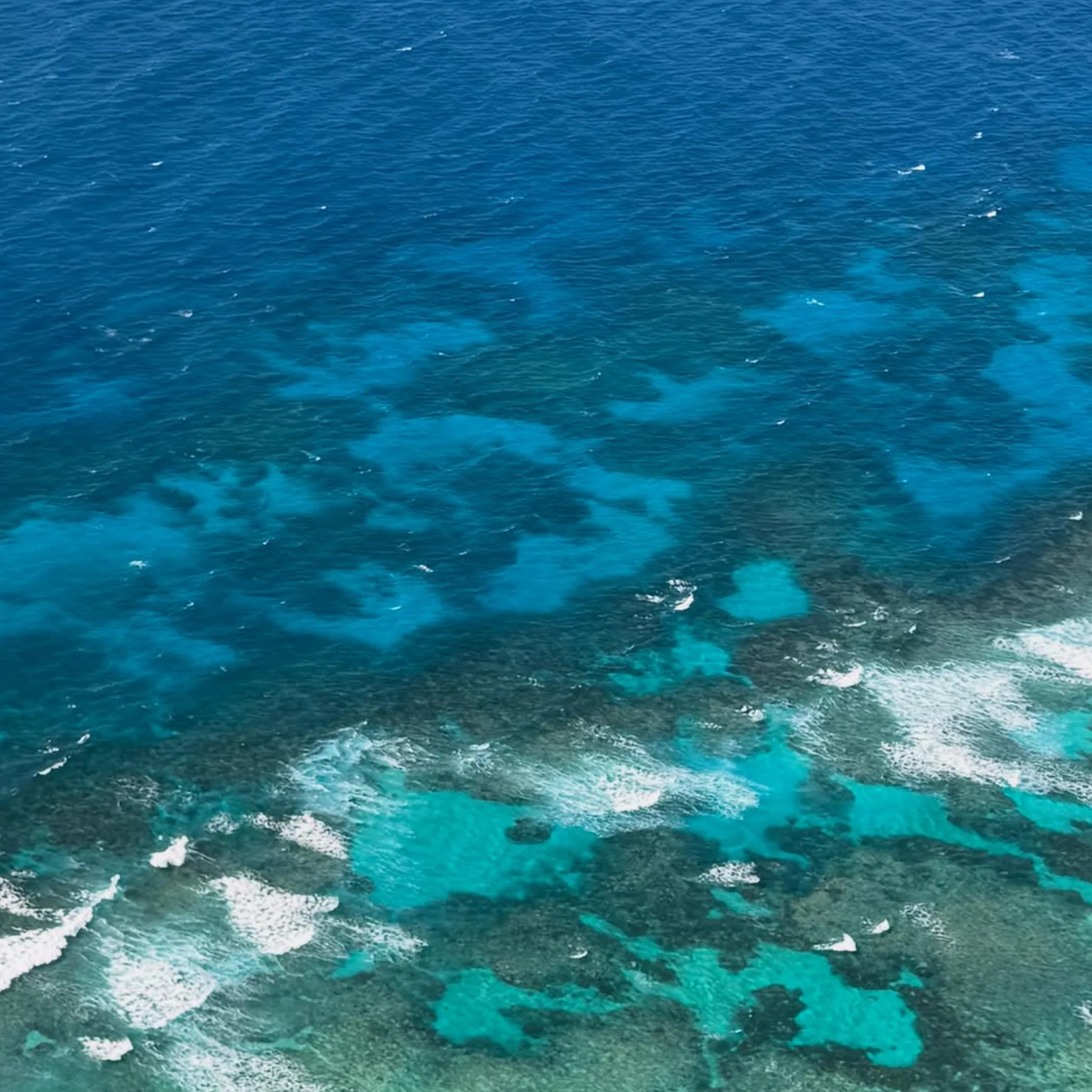 shallow coral reef waters